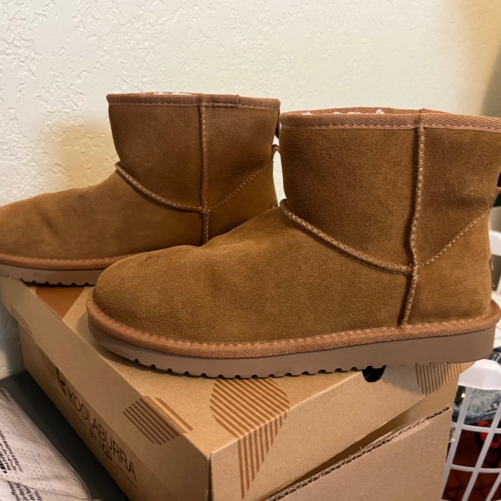 Uggs koolaburra
